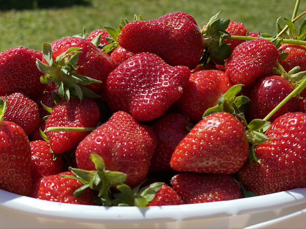 This image has an empty alt attribute; its file name is e0e773b4-06a2-4214-a723-fafe5c1707ce_1_105_c.jpeg