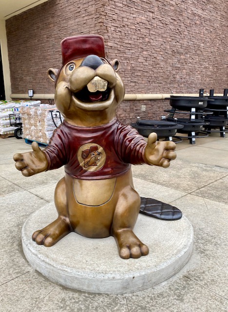 The Draw to Buc-ee's – Everyday Edith